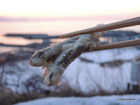 エゾニュウの天ぷら