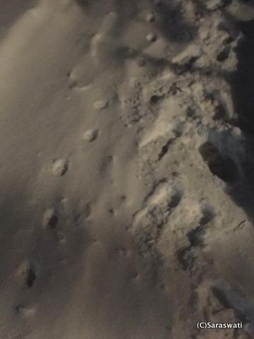 天候回復前日のキタキツネ下山